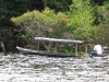 Tmp000272