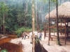 acampamentoamazonat