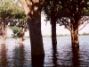 aland