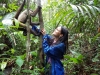 amazonas-088b