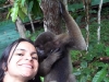 amazonas-127b
