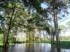 amazonia4b