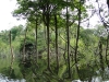dsc03160b