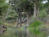 dsc03181b