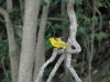 dsc03293b