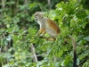 dsc03664b