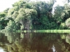 dsc07199_b
