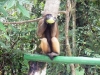 dscf6492b