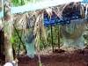 dscn3978b