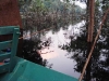 espera-das-piranhas