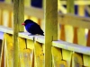 foto007_02b