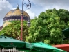 image-8 (2)b