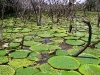 lago-vitorias-regiasb