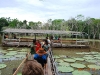 manaus-e-cr-221b