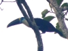 rscn9714b