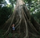 samauuuma