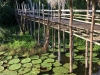 thumb_IMG_0935_1024b
