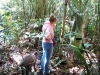 trip-to-jungleb