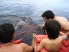 viagem-manaus-230_b