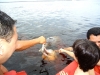 viagem-manaus-231_b