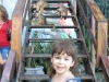 visita_ariau