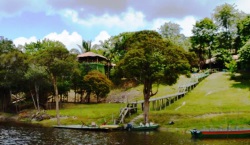 Amazon Tupana