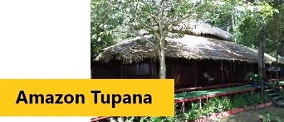 Amazon Tupana Lodge -  - Haz clic para más informaciones y tarifas