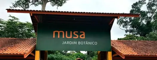  Amazon Explorers - MUSA - Entrada