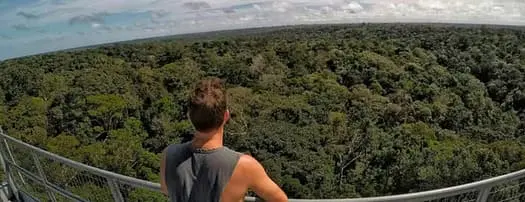  Amazon Explorers - MUSA - Vista da Torre 