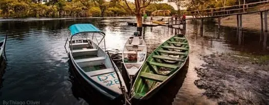   Amazon Tupana - canoas para excursões 