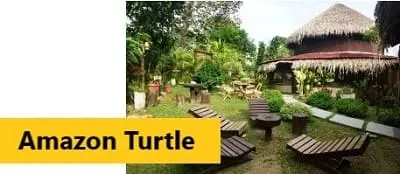 Amazon Turtle Lodge -  Haz clic para más informaciones y tarifas