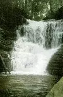 Cachoeira Lua Branca - Cachoeiras de Presidente Figueiredo