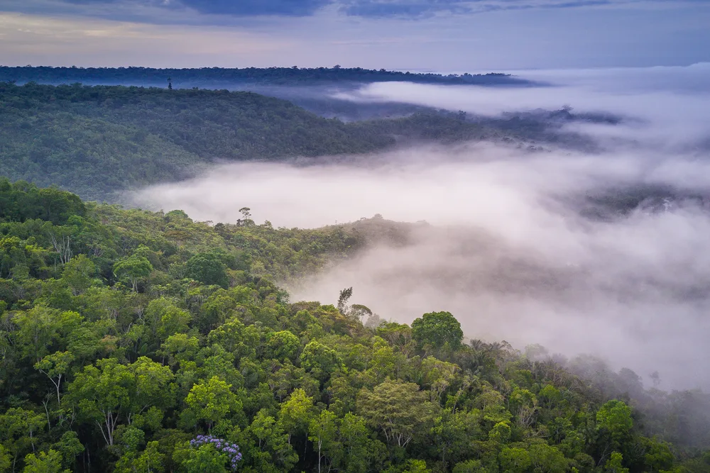  Private Rainforest Refuge - vista aérea