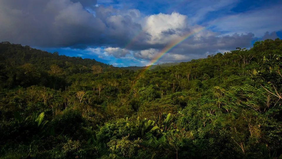  Private Rainforest Refuge - vista desde la veranda