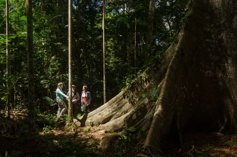  Private Rainforest Refuge - Sendero